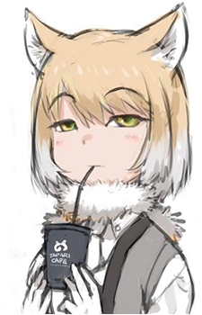 Tibetan Sand Fox