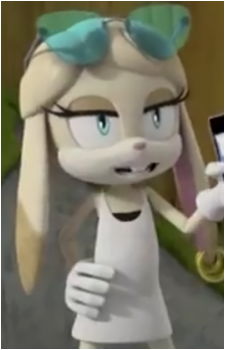 Rabbit Girl {Sonic}