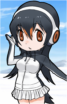 Gentoo Penguin's image