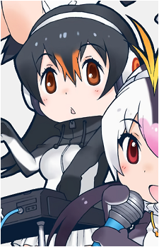 Gentoo Penguin