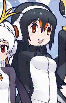 Gentoo Penguin