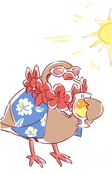 Image 17