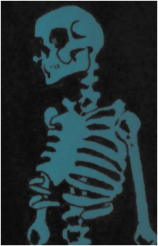 Docteur Sérum's image