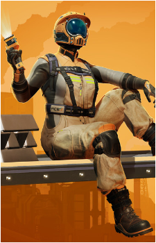 The Pioneer's image