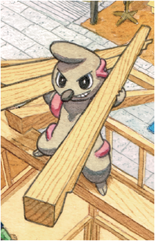 Image 21