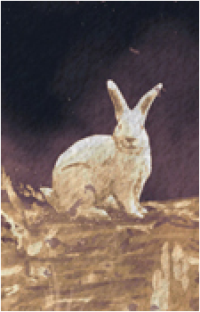 Rabbit of Caerbannog