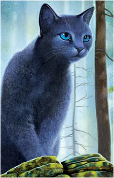 Bluestar's image