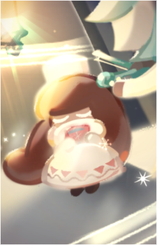 Cocoa Cookie