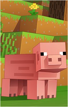 Pig {MC}