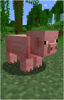 Pig's image