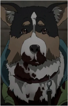 Parasite Dog