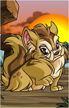 Xweetok