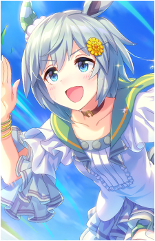 Seiun Sky's image