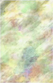 Image 42
