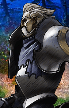Sir Erwin the Gallant Cavalier