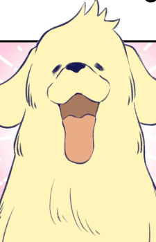 Dumdum's image