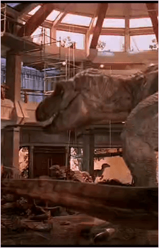 Image 30