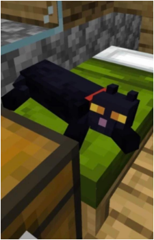 Cat {MC}