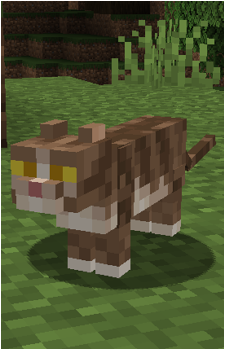 Cat {MC}