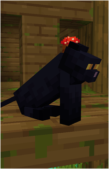 Cat {MC}