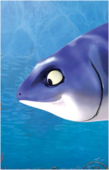 Padak