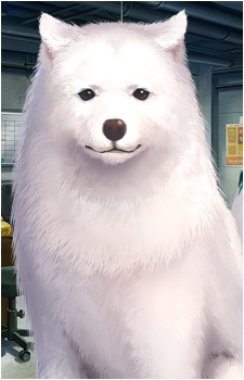 Cavall II