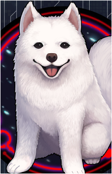 Cavall II