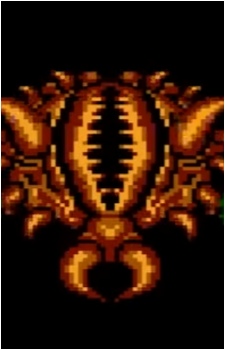 Hard Shell's image
