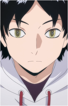 Tsukihiko Amou