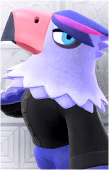 Quinn's image