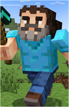 Steve