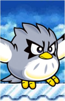 Coo's image
