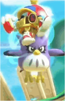 Coo