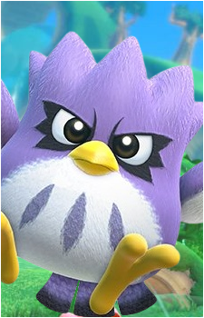 Coo's image