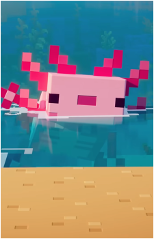 Axolotl