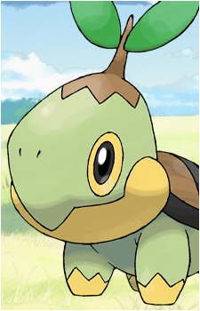 Turtwig's image
