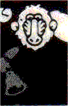Alarm Monkey's image