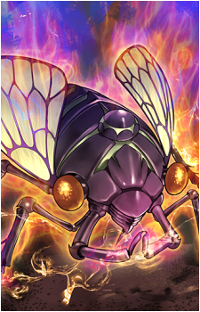Oily Cicada's image