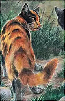 Sorreltail's image
