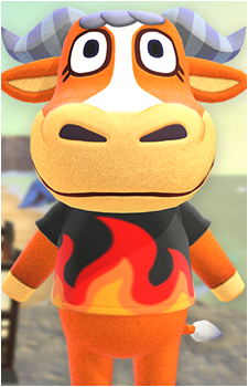 Angus