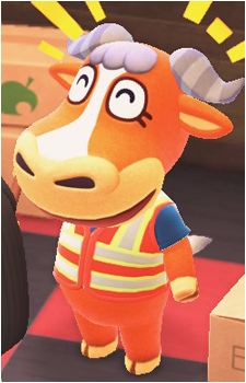 Angus