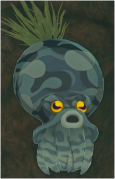 Octorok's image