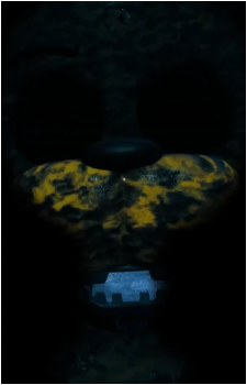 Image 4 Image 4