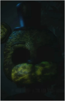 Image 5 Image 5