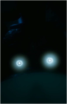 Image 6 Image 6