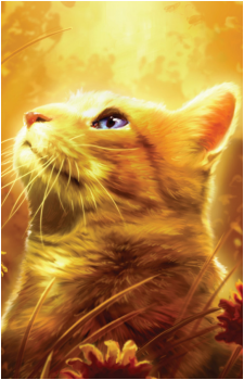 Rootspring's image