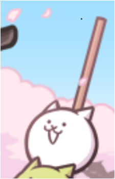Cat {TBC}