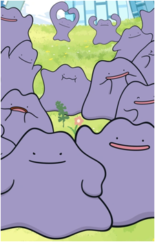 Image 37