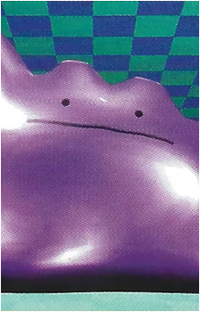 Image 27