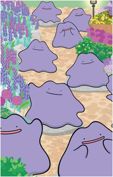 Image 22